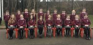 Primary 6